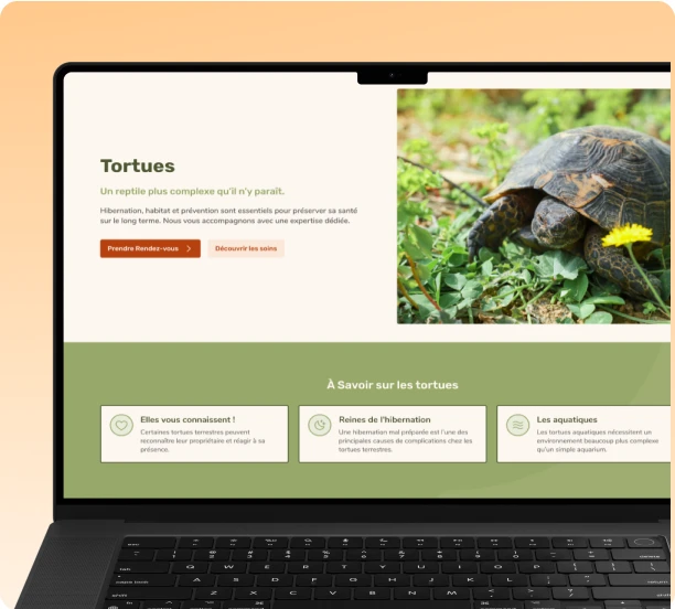 Fiche pédagogique d’une espèce sur le site