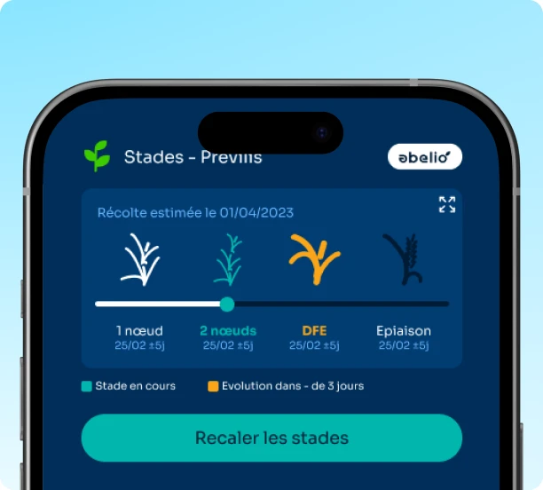 Stades de la culture et date de récolte estimée