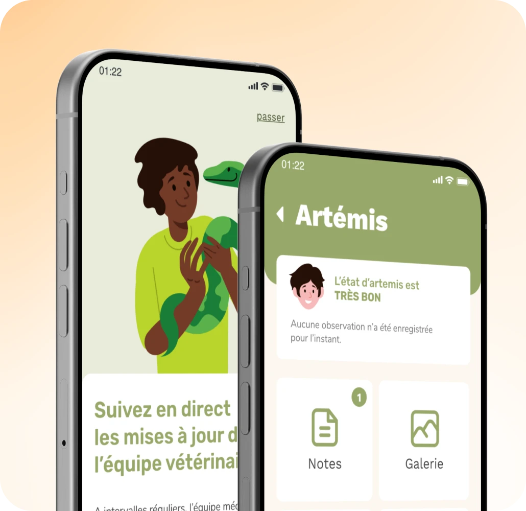 Écrans de suivi quotidien de l’application