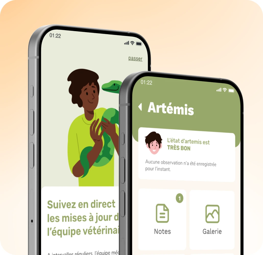 Écrans de suivi quotidien de l’application