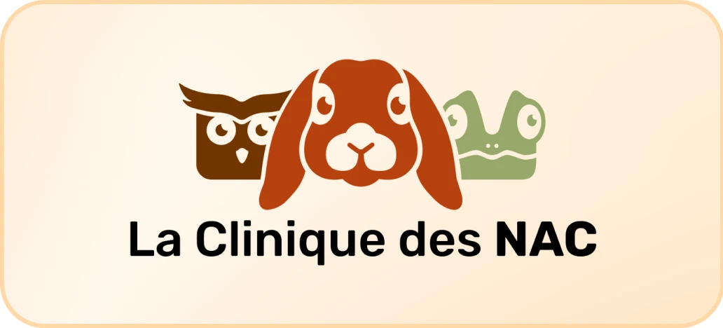 Déclinaisons du logo de la Clinique des NAC