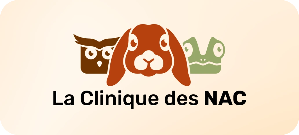 Déclinaisons du logo de la Clinique des NAC