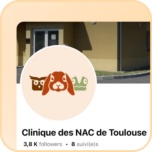 Détail du logo aux trois animaux