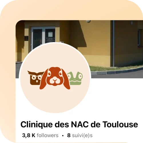 Détail du logo aux trois animaux